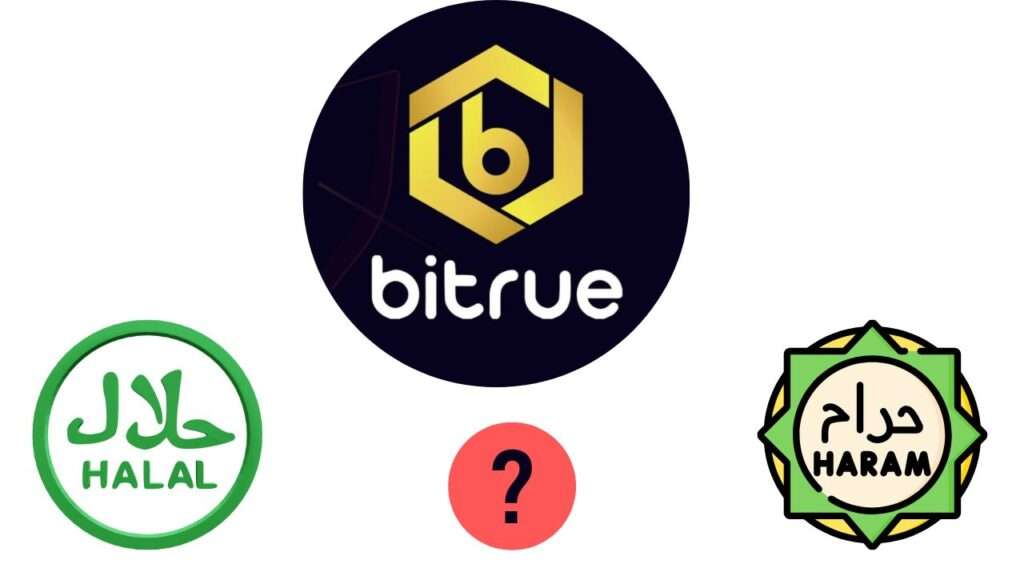 هل عملة Bitrue Coin حلال أم حرام؟