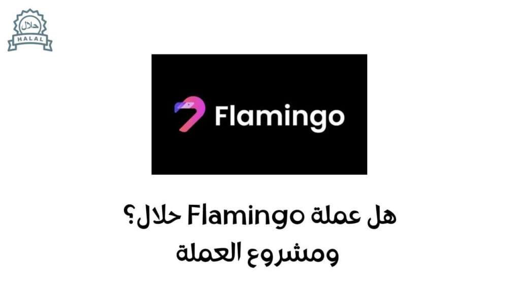 هل عملة Flamingo حلال؟ ومشروع العملة